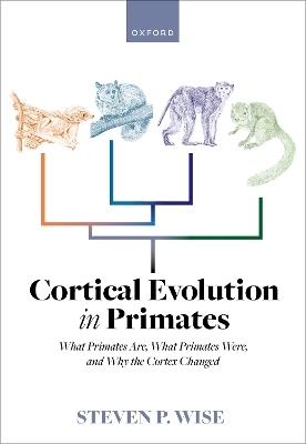 Cortical Evolution in Primates - Dr Steven P. Wise