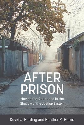 After Prison: Navigating Adulthood in the Shadow of the Justice System - David J Harding, Heather M Harris