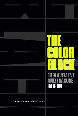 The Color Black - Beeta Baghoolizadeh