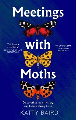 Meetings with Moths - Katty Baird