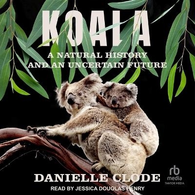 Koala - Danielle Clode