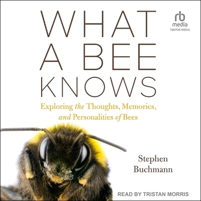 What a Bee Knows - Stephen Buchmann