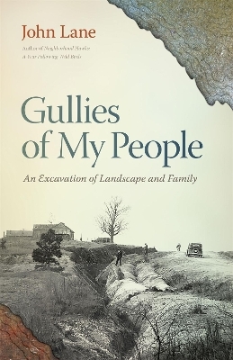 Gullies of My People - John Lane