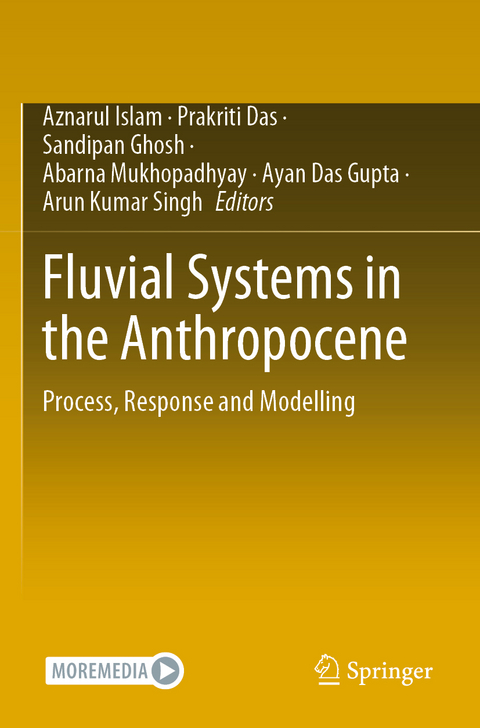 Fluvial Systems in the Anthropocene - 