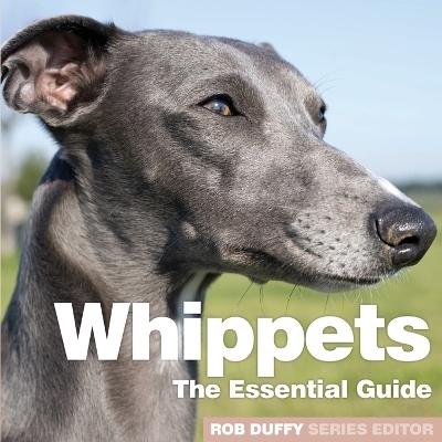 Whippets - 