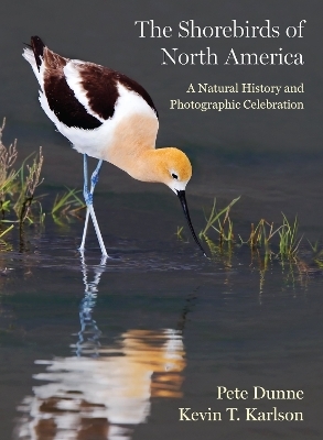 The Shorebirds of North America - Pete Dunne, Kevin T. Karlson