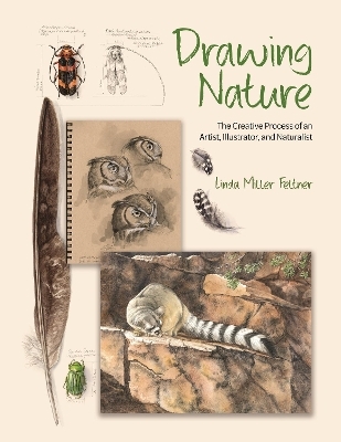 Drawing Nature - Linda Miller Feltner