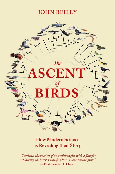 Ascent of Birds -  John Reilly