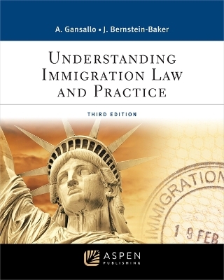 Understanding Immigration Law and Practice - Ayodele Gansallo, Judith Bernstein-Baker