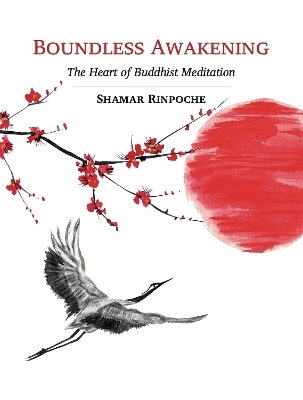 Boundless Awakening - Shamar Rinpoche