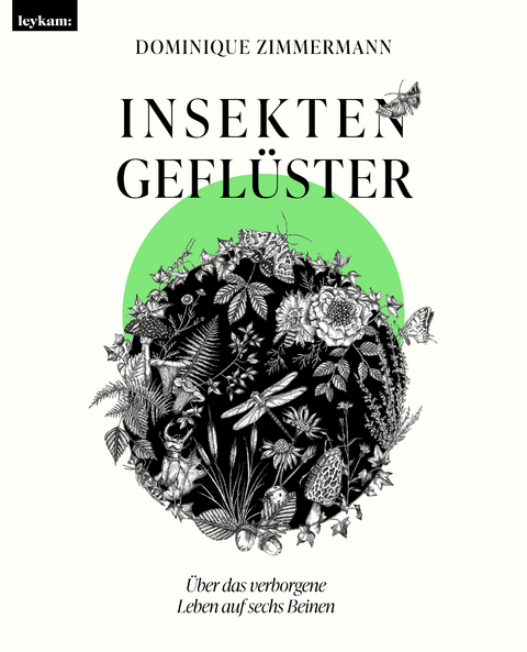 Insektengeflüster - Dominique Zimmermann