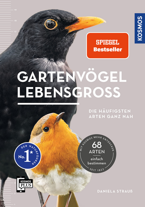 Gartenvögel lebensgroß - Daniela Strauß