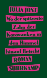 Wo der spitzeste Zahn der Karawanken in den Himmel hinauf fletscht - Julia Jost