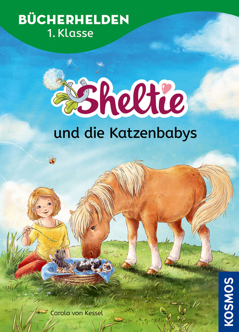 Sheltie, Bücherhelden 1. Klasse, Sheltie und die Katzenbabys - Carola von Kessel