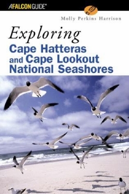 Exploring Cape Hatteras and Cape Lookout National Seashores - Molly Harrison