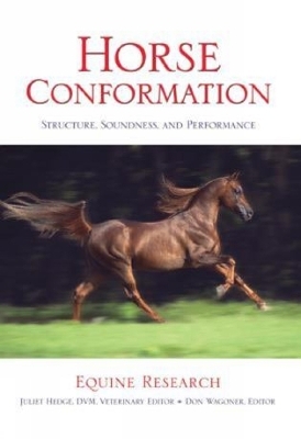 Horse Conformation -  Equine Research