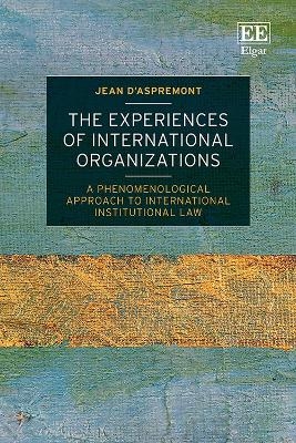 The Experiences of International Organizations - Jean d'Aspremont