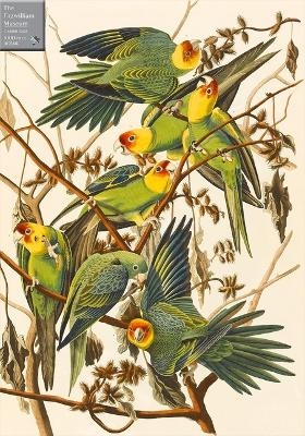 Carolina Parakeets 1000 Piece Jigsaw Puzzle