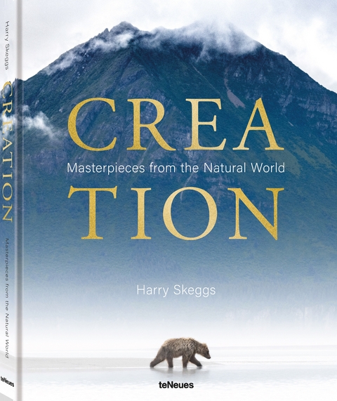 Creation - Harry Skeggs