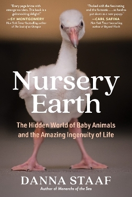 Nursery Earth - Danna Staaf