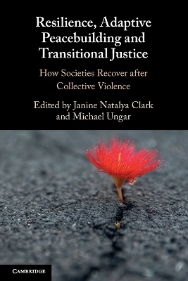 Resilience, Adaptive Peacebuilding and Transitional Justice - 