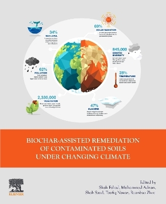 Biochar-assisted Remediation of Contaminated Soils Under Changing Climate - 