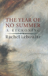 The Year of No Summer - Rachel Lebowitz