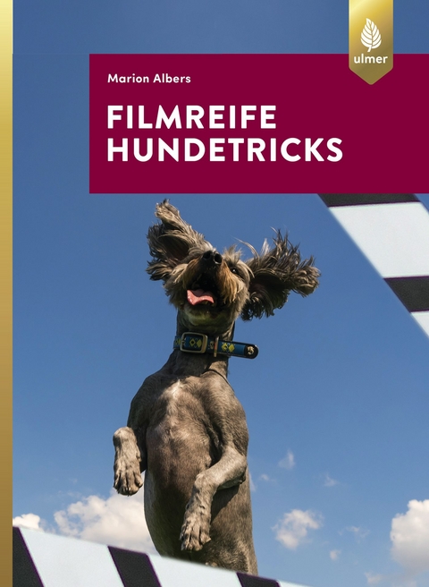 Filmreife Hundetricks - Marion Albers