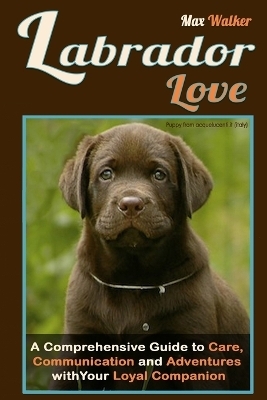 Labrador Love - Max Walker