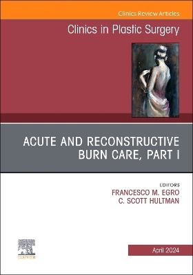 Acute and Reconstructive Burn Care, Part I, An Issue of Clinics in Plastic Surgery - 