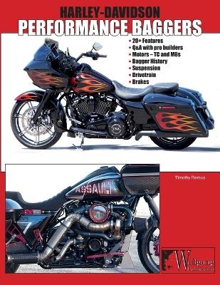 Harley-Davidson Performance Bagger - Timothy S Remus