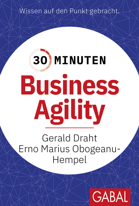 Business agility - Gerald Draht, Erno Marius Obogeanu-Hempel