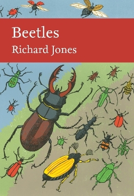 Beetles - Richard Jones