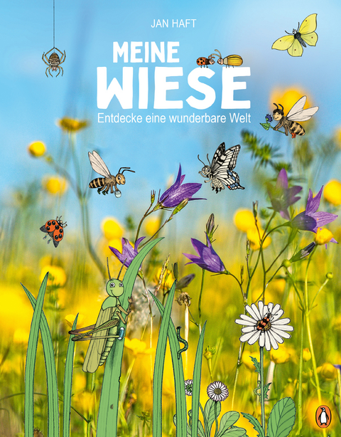 Meine Wiese. - Entdecke eine wunderbare Welt - Jan Haft