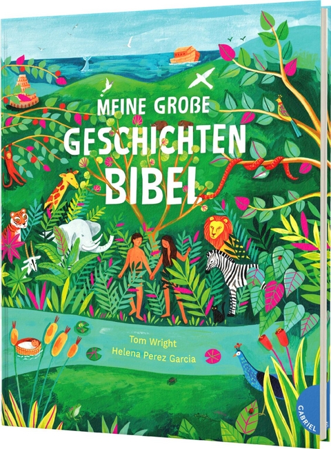 Meine große Geschichten-Bibel - Tom Wright