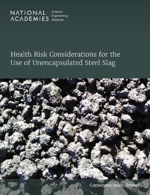 Health Risk Considerations for the Use of Unencapsulated Steel Slag - Engineering National Academies of Sciences  and Medicine,  Division on Earth and Life Studies,  Board on Environmental Studies and Toxicology,  Committee on Electric Arc Furnace Slag: Understanding Human Health Risks from Unencapsulated Uses