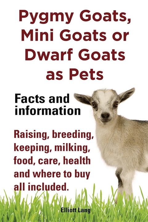 Pygmy Goats as Pets. Pygmy Goats, Mini Goats or Dwarf Goats -  Elliott Lang