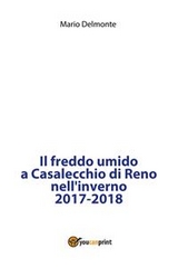 Il freddo umido a Casalecchio di Reno nell'inverno 2017-2018 - Mario Delmonte