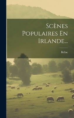 Scènes Populaires En Irlande... - 