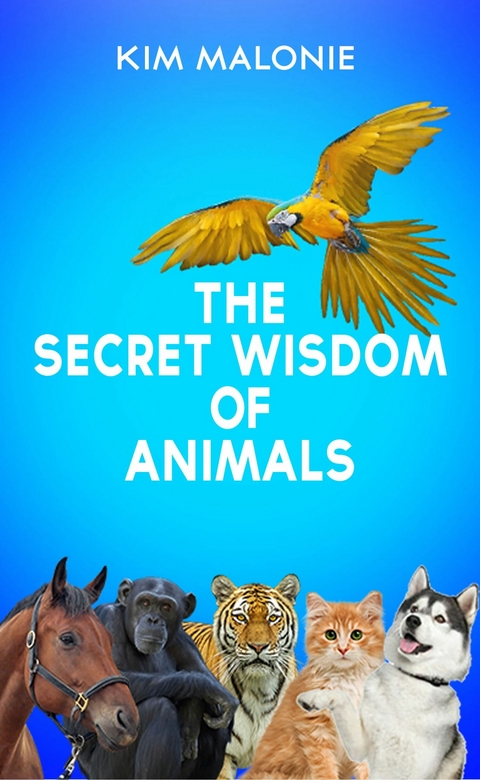 Secret Wisdom of Animals -  Kim Malonie