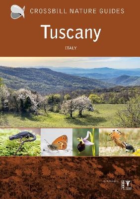 Tuscany - Graham Chisholm