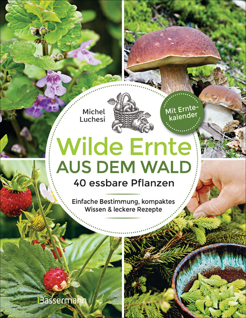 Wilde Ernte aus dem Wald - 40 essbare Pflanzen - einfache Bestimmung, kompaktes Wissen und leckere Rezepte - Michel Luchesi