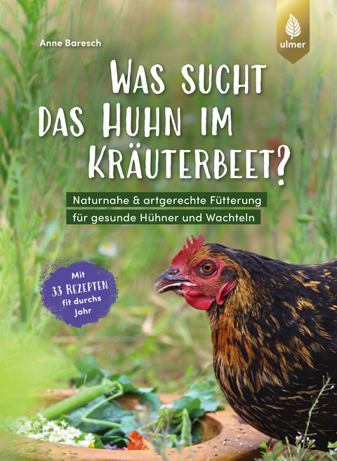 Was sucht das Huhn im Kräuterbeet? - Anne Baresch