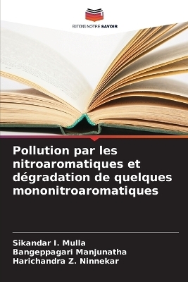 Pollution par les nitroaromatiques et dégradation de quelques mononitroaromatiques - Sikandar I Mulla, Bangeppagari Manjunatha, Harichandra Z Ninnekar