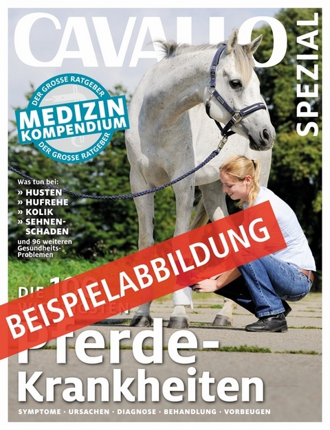 CAVALLO SPEZIAL - Thema tbd