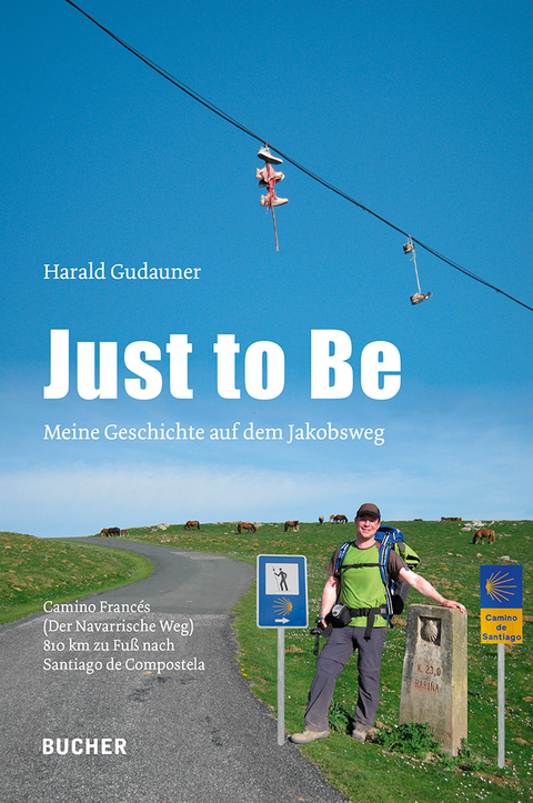 Just to Be - Harald Gudauner