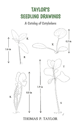 TAYLOR'S SEEDLING DRAWINGS - Thomas Taylor