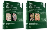 The Netter Collection of Medical Illustrations: Nervous System Package - Aminoff, Michael J.; Pomeroy, Scott L; Levin, Kerry H.