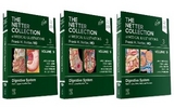 The Netter Collection of Medical Illustrations: Digestive System Package - Reynolds, James C.