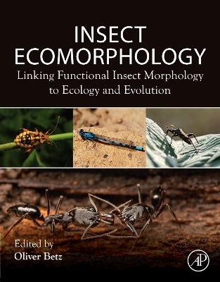 Insect Ecomorphology - 